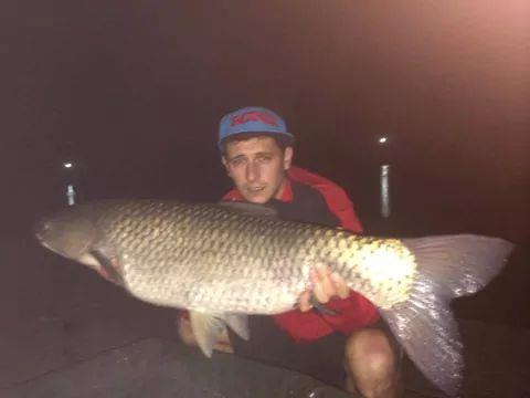 Tancabesti - Cteno 20, 44 kg , stand nae&sec